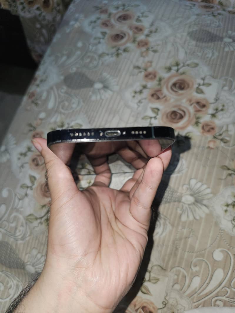 Apple iPhone 12 Pro Max 10