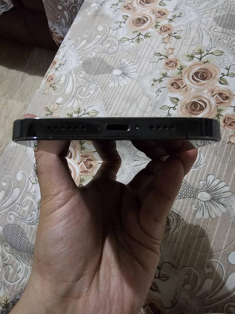 Apple iPhone 12 Pro Max 12