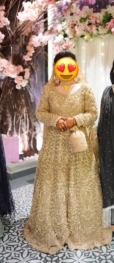 10/10 condition 1 time use maxi bridal wear