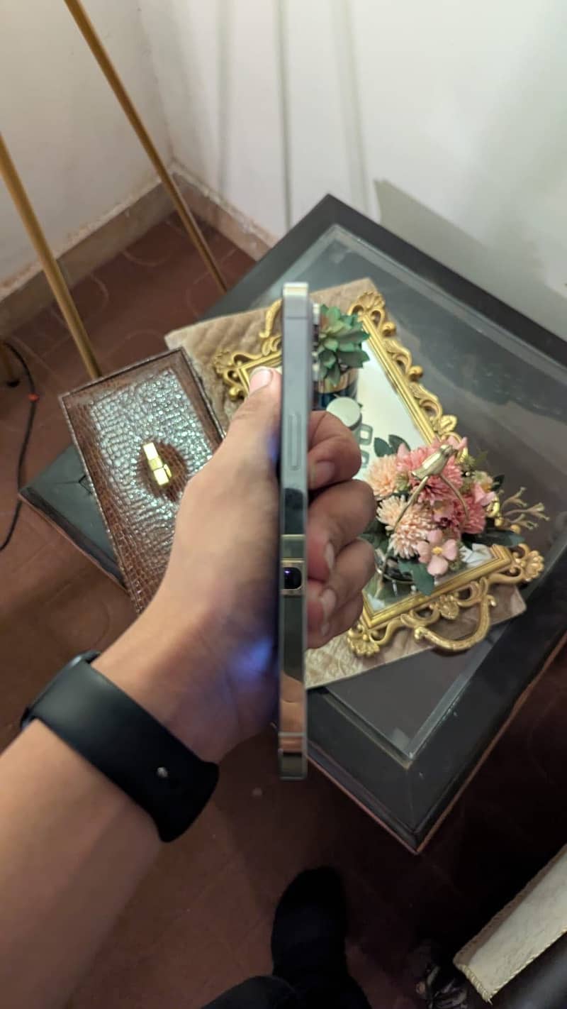 Apple iPhone 14 Pro Max 4