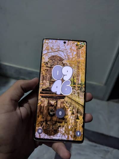Google Pixel 6 Pro