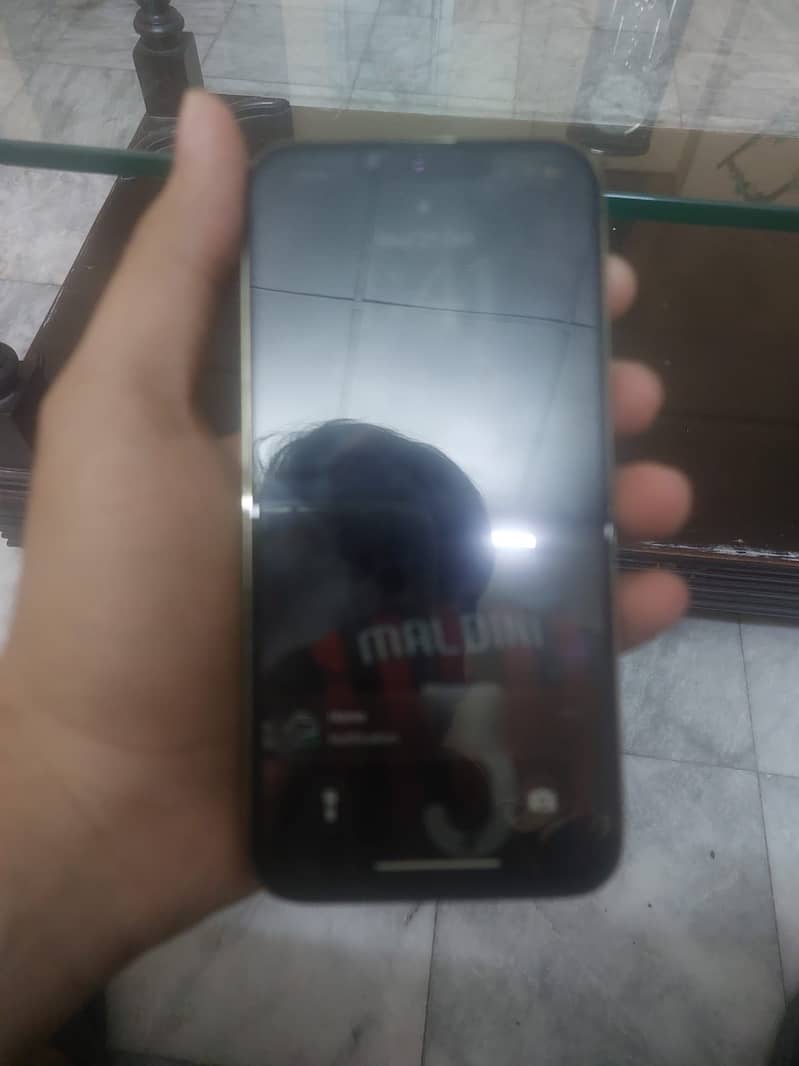 13 pro 0