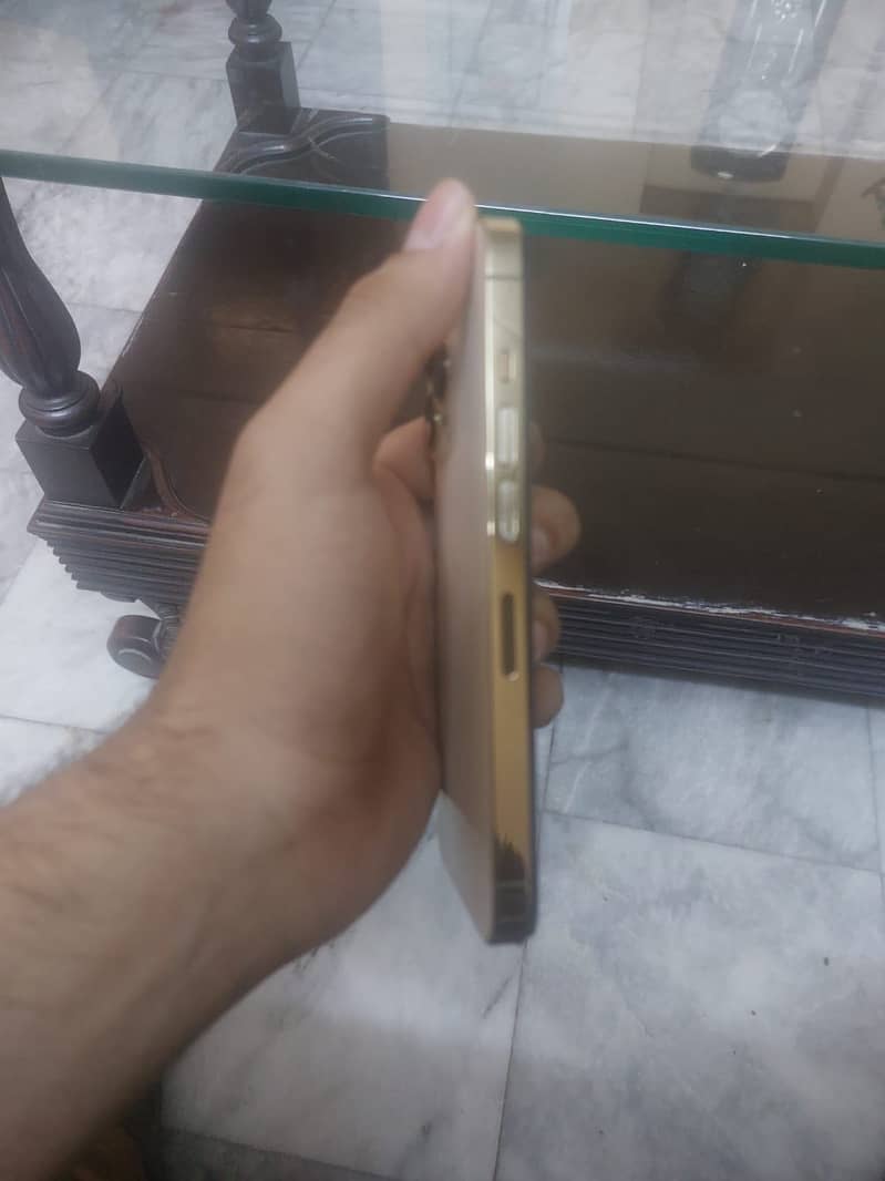 13 pro 1