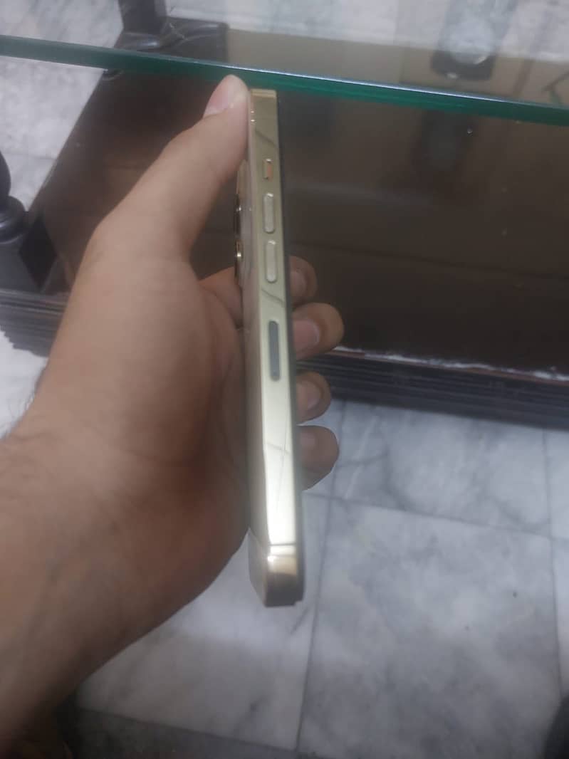 13 pro 2