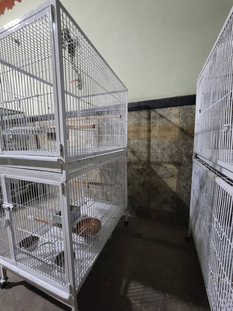 Double Portion Cage 3
