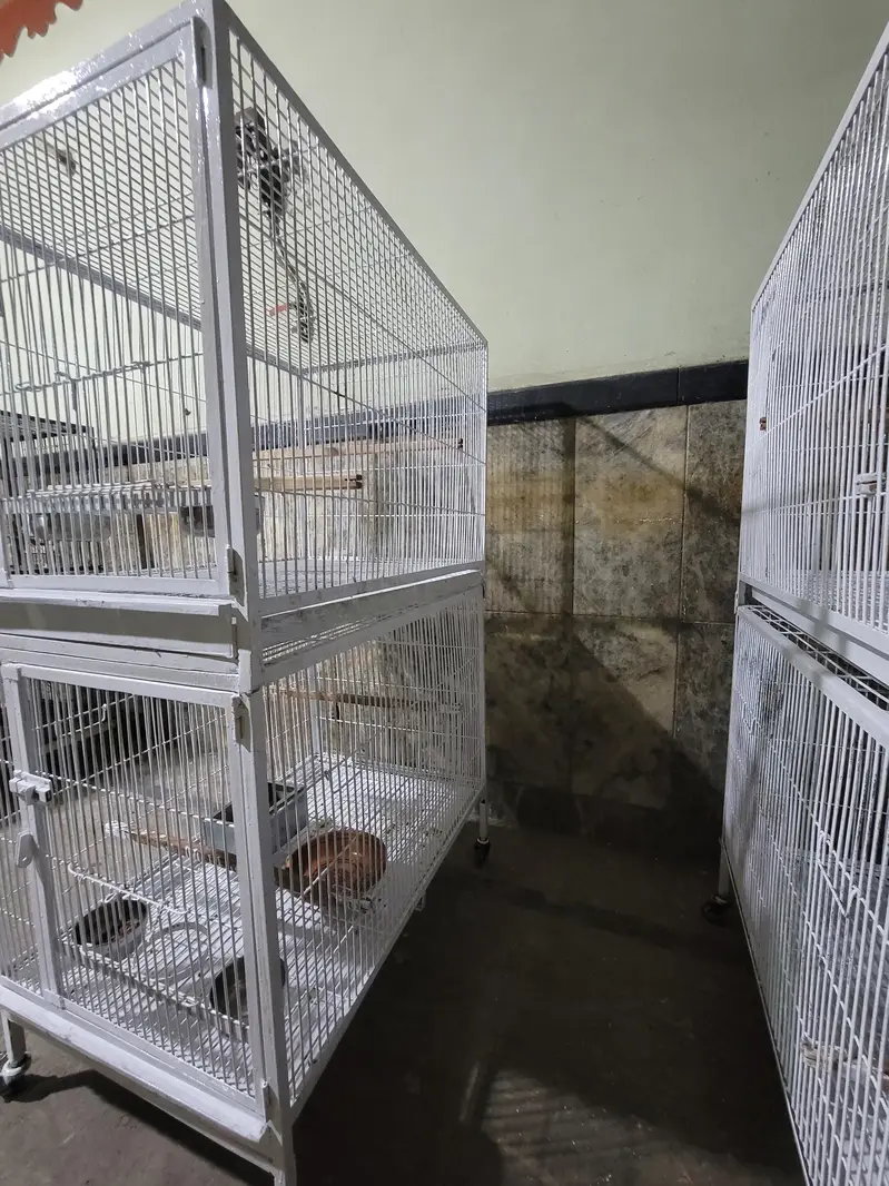 Double Portion Cage — photo 4