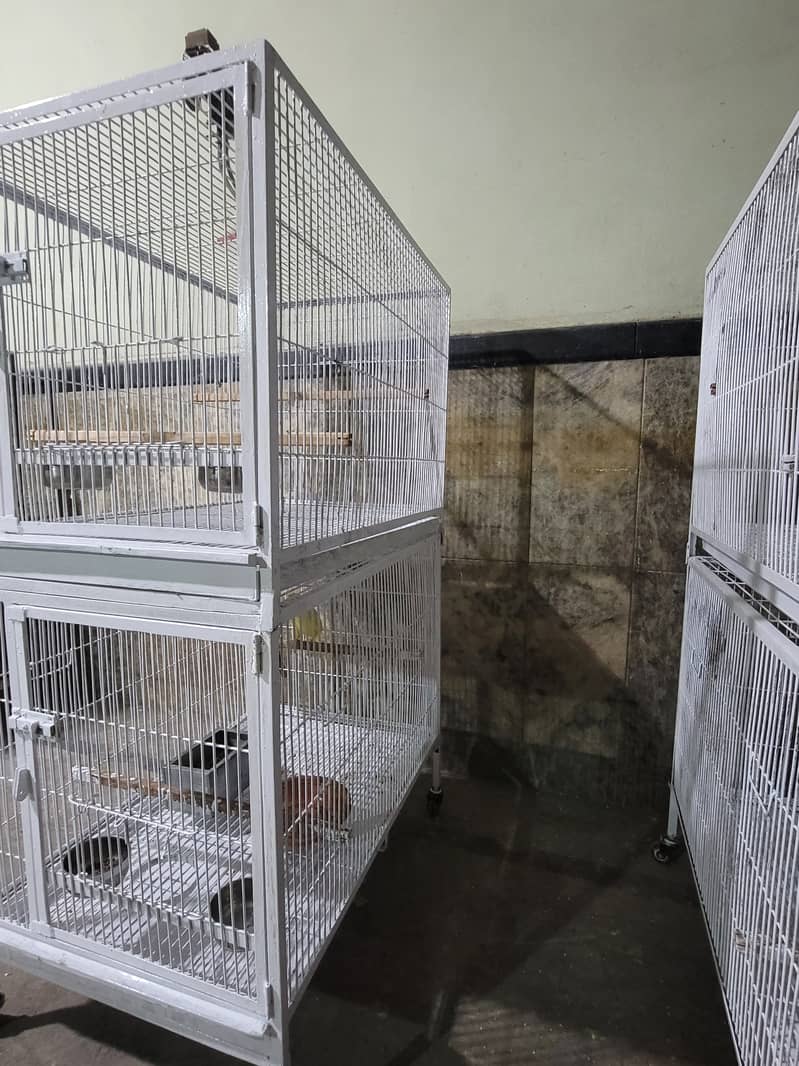 Double Portion Cage 4