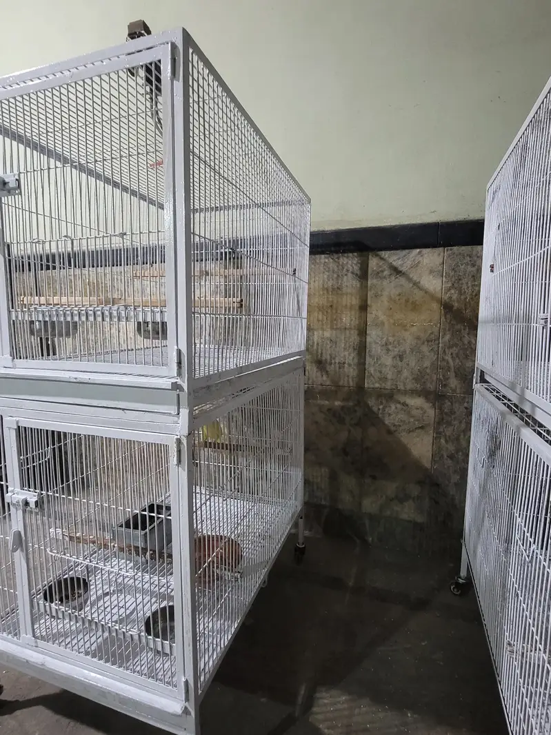 Double Portion Cage — photo 5
