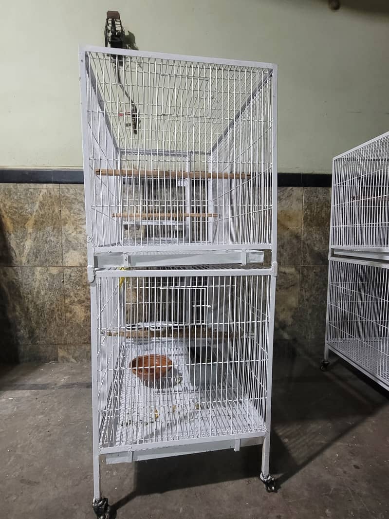 Double Portion Cage 5
