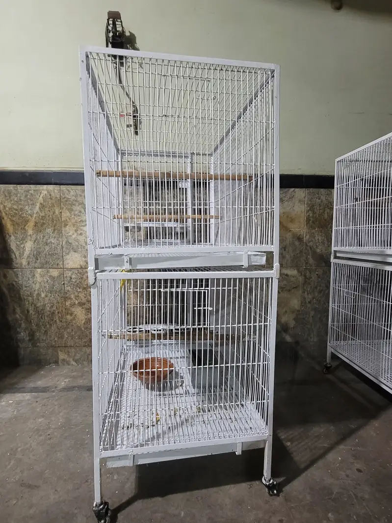 Double Portion Cage — photo 6