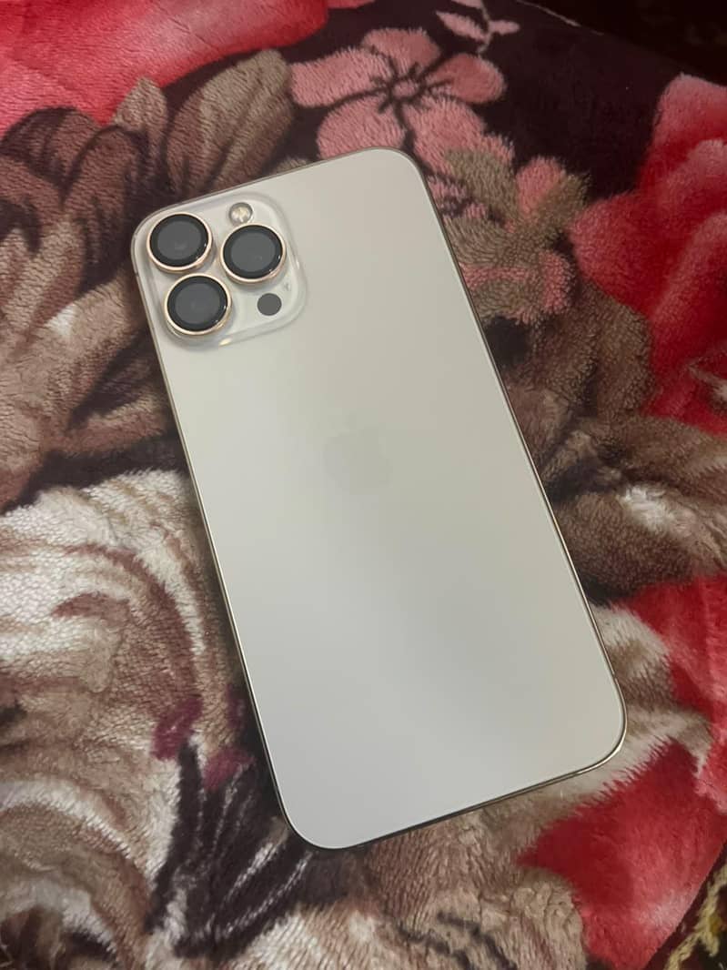 Apple iPhone 13 Pro Max 0