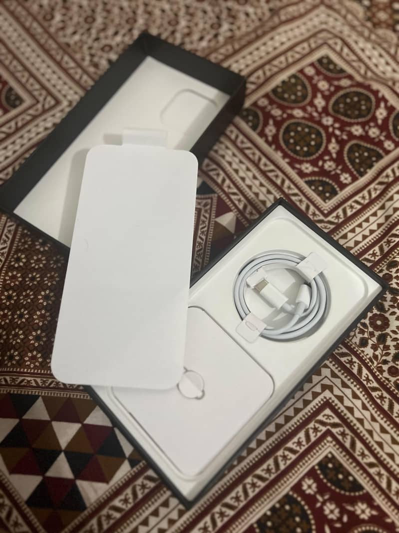 Apple iPhone 13 Pro Max 1