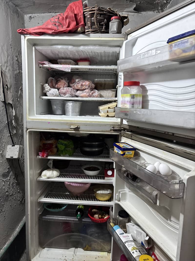 fridge 2