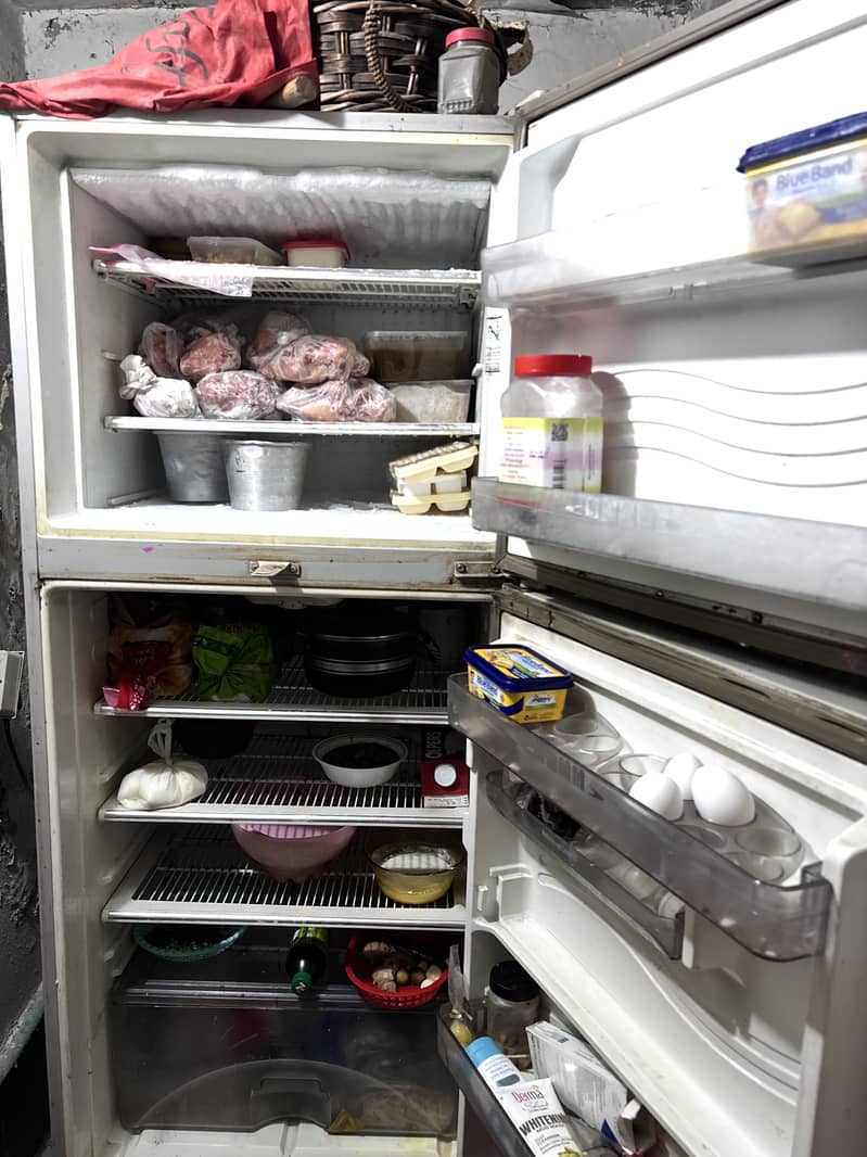fridge 3