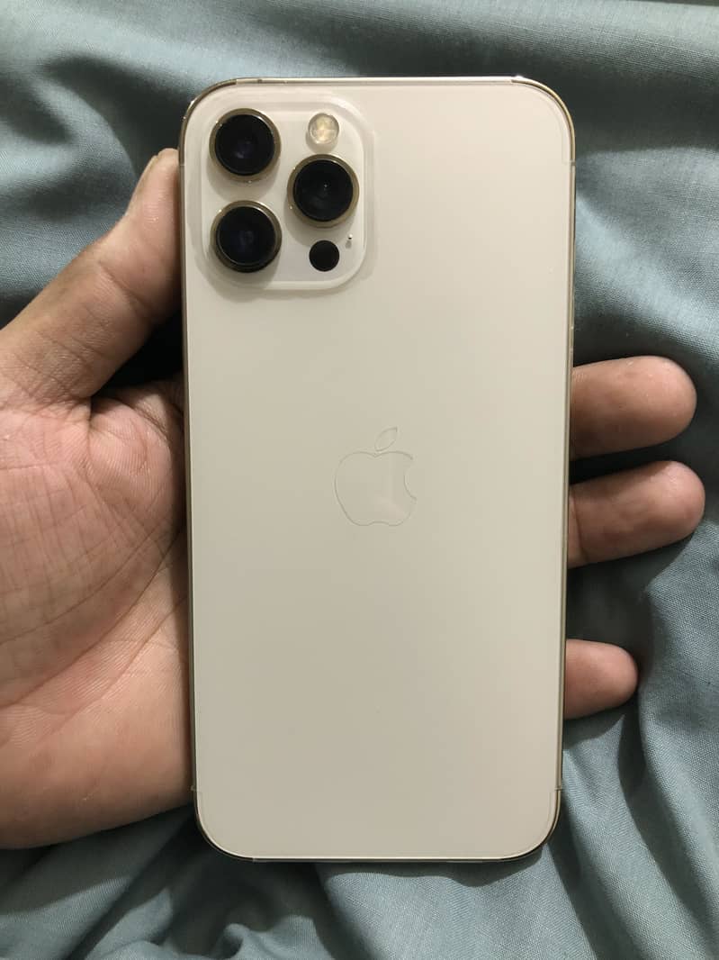 Apple iPhone 12 Pro Max 1