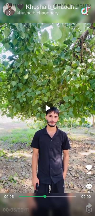 I m pizza and fast food chef