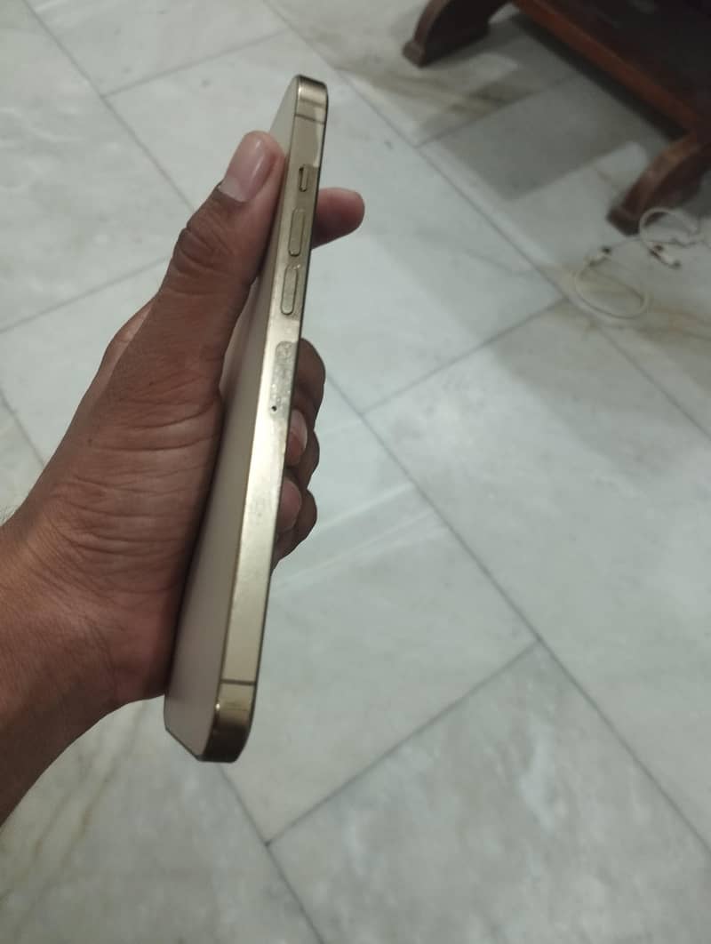 Apple iPhone 13 Pro Max 1