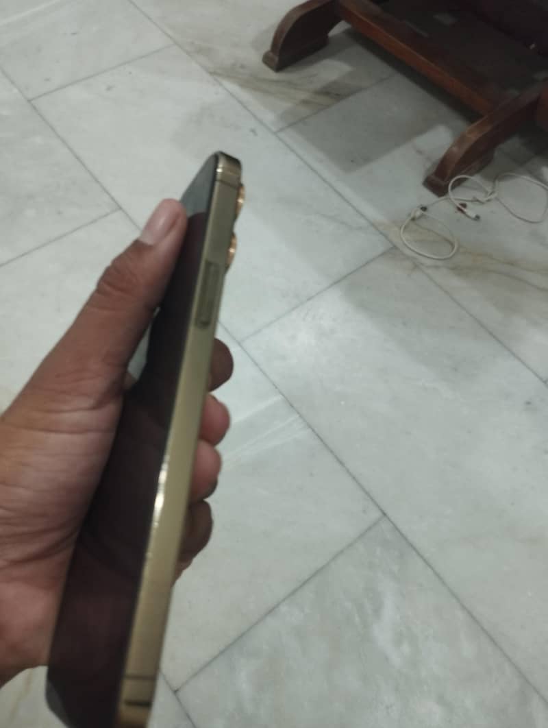 Apple iPhone 13 Pro Max 2
