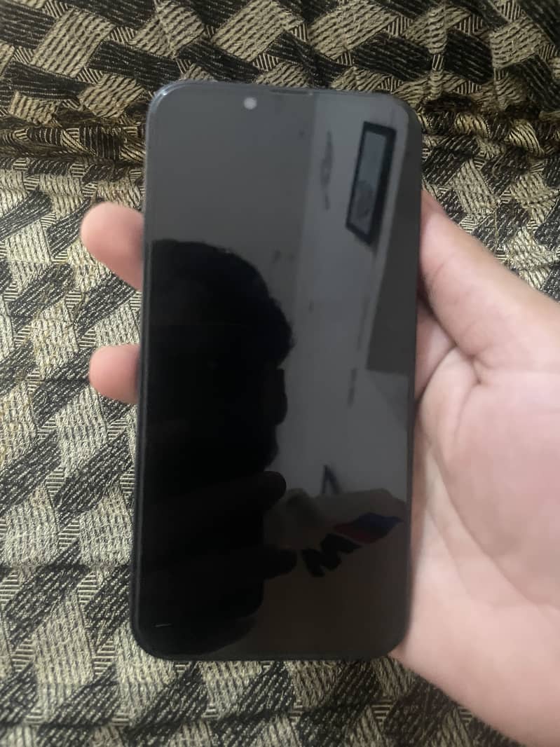 Apple iPhone 13 0