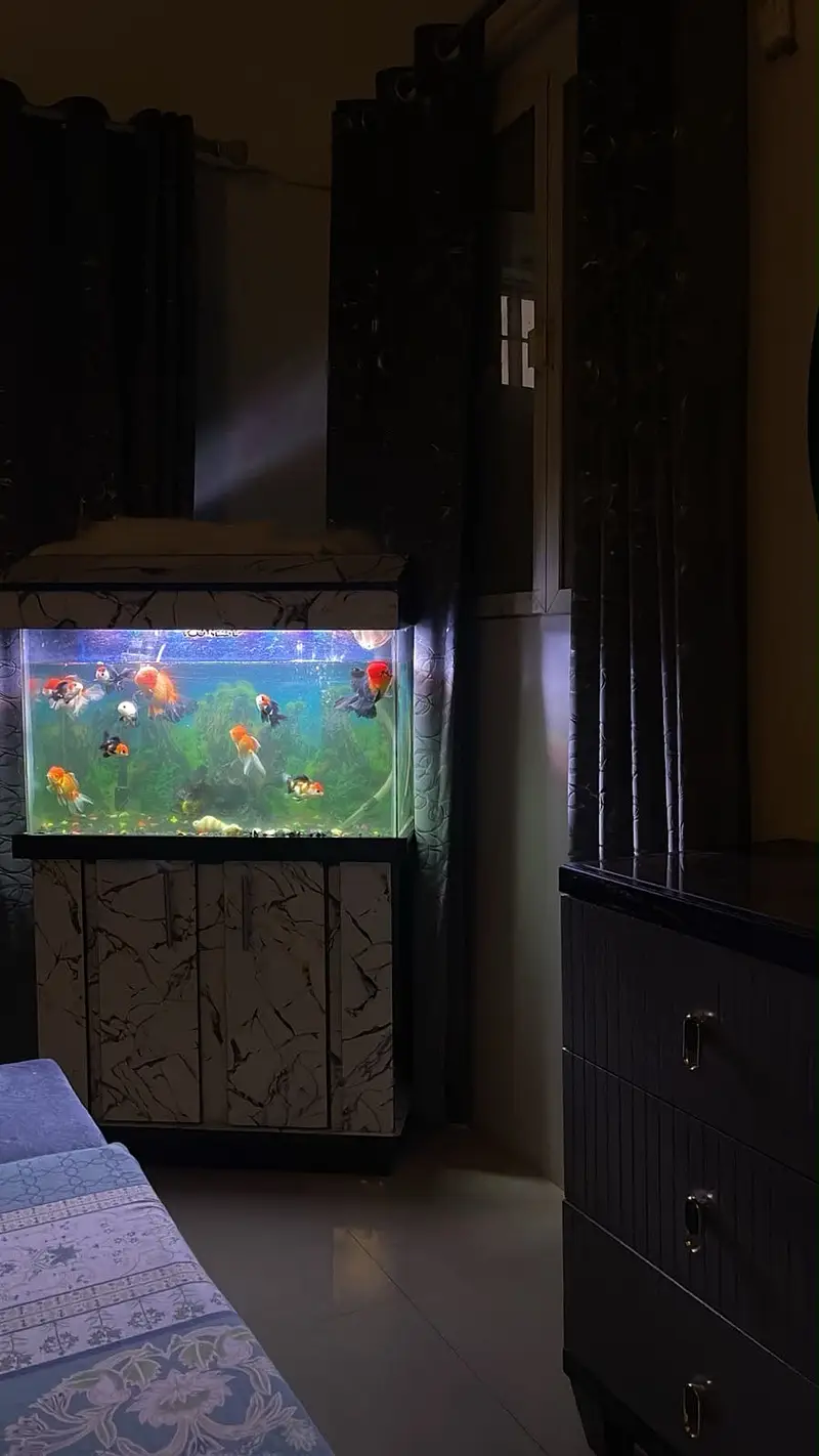 2.5 ft aquarium new — photo 3