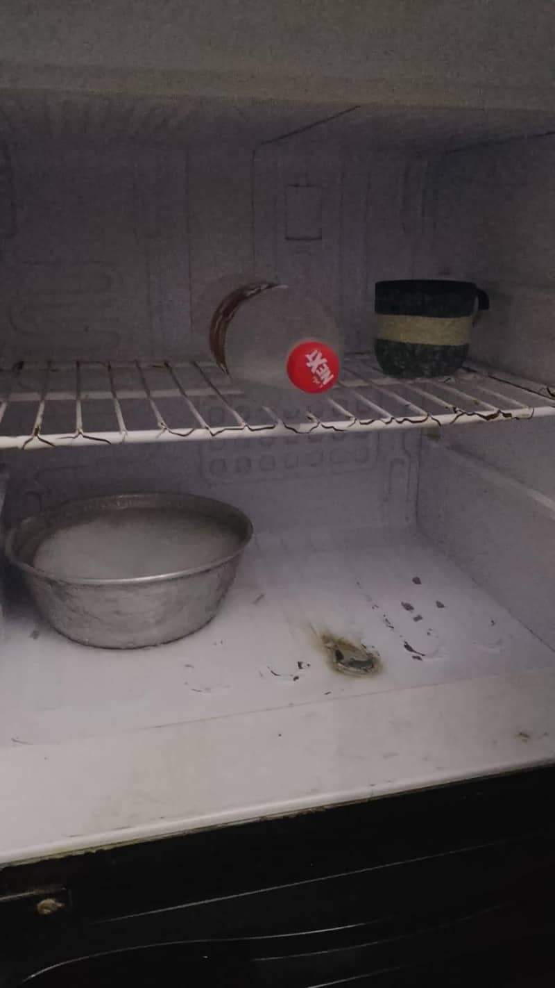 orient fridge 3