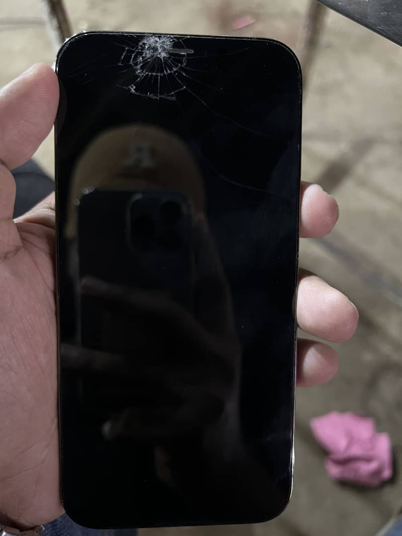 Apple iPhone 12 Pro Max 2