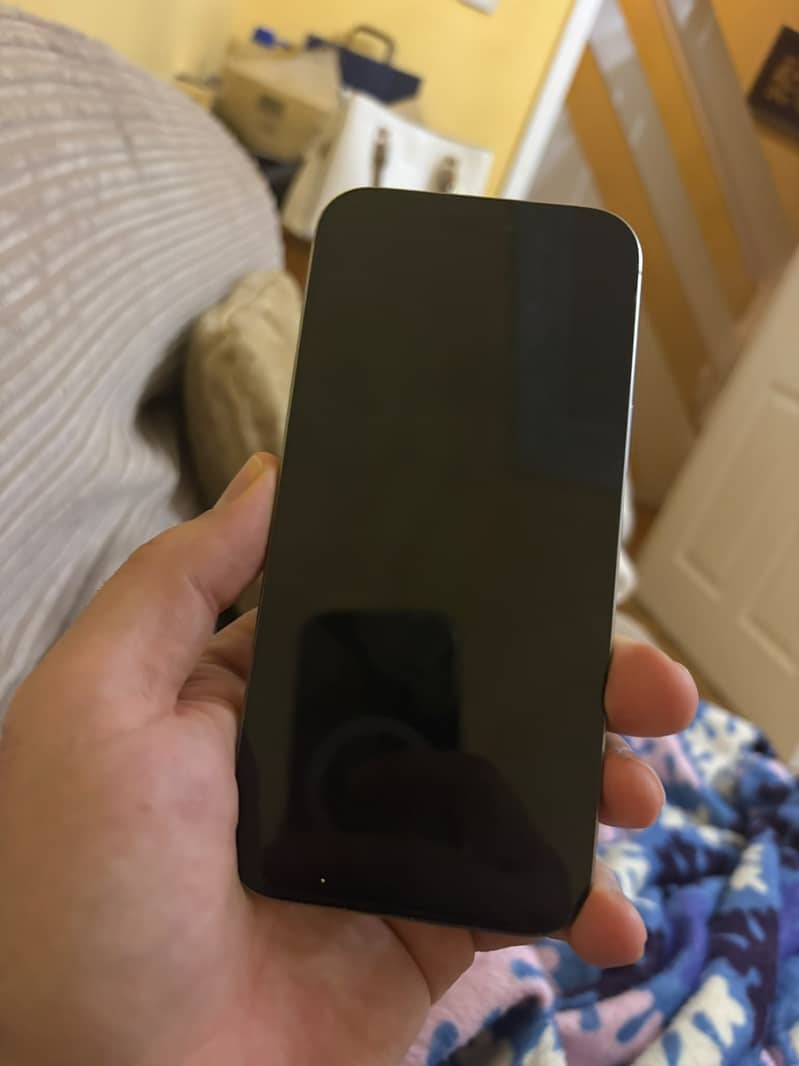 Apple iPhone 16 Pro Max 1