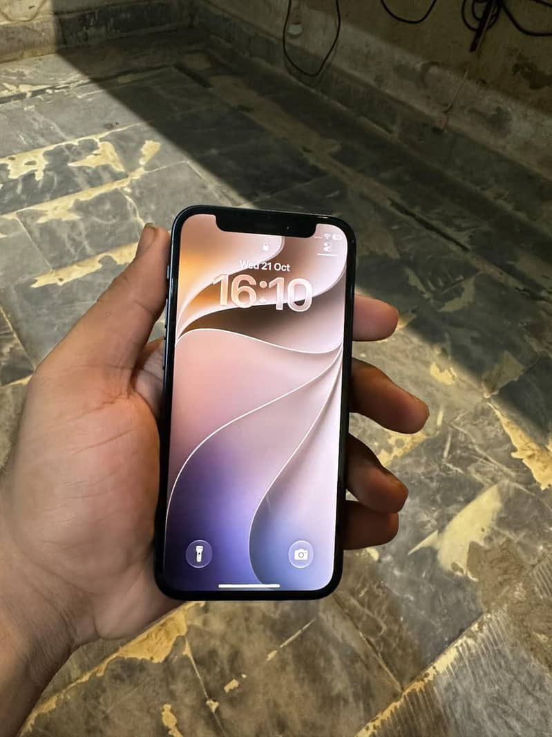 Apple iPhone 12 mini 0