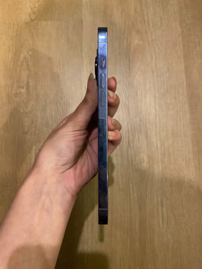 Apple iPhone 13 Pro Max 5