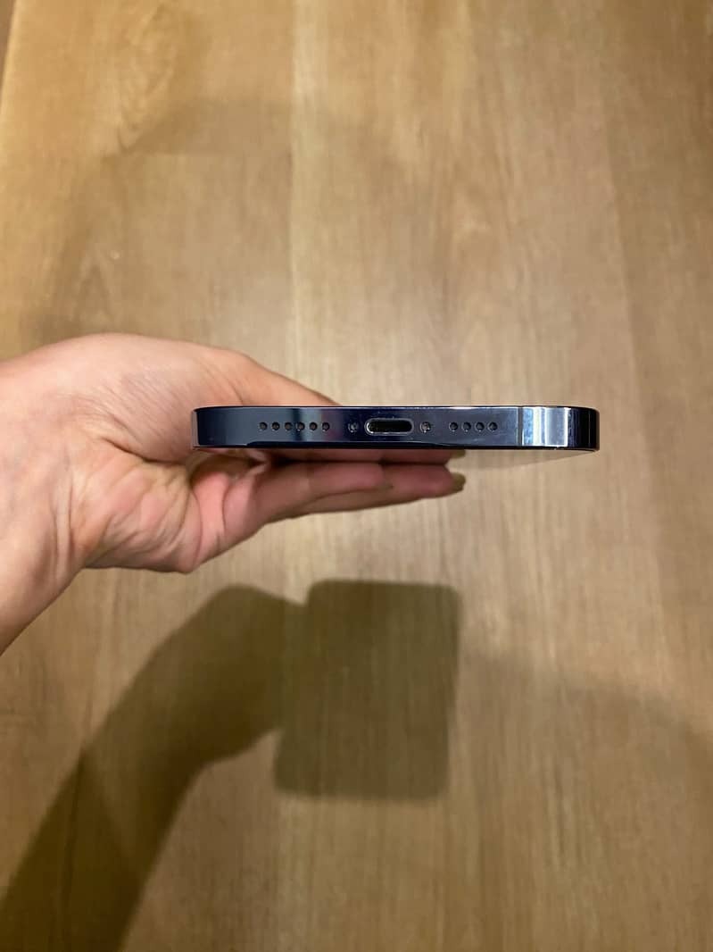 Apple iPhone 13 Pro Max 6