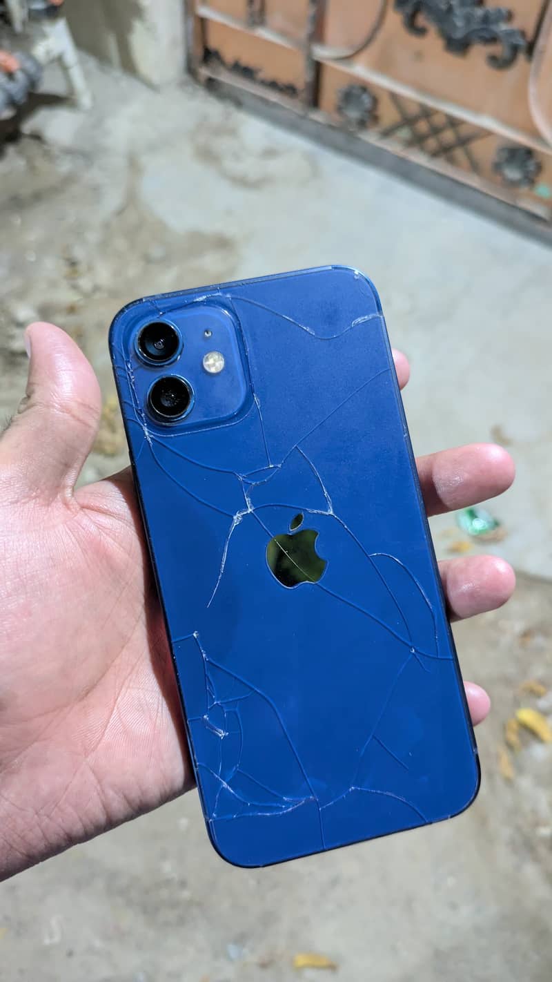 Apple iPhone 12 1