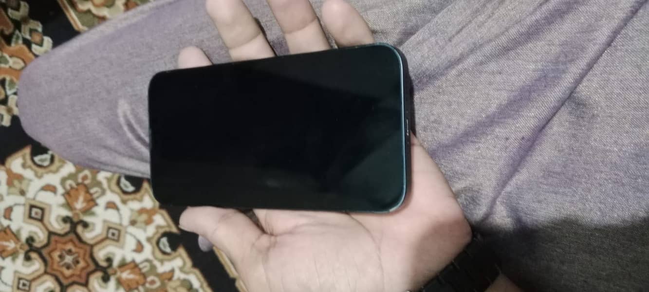 Apple iPhone 13 0