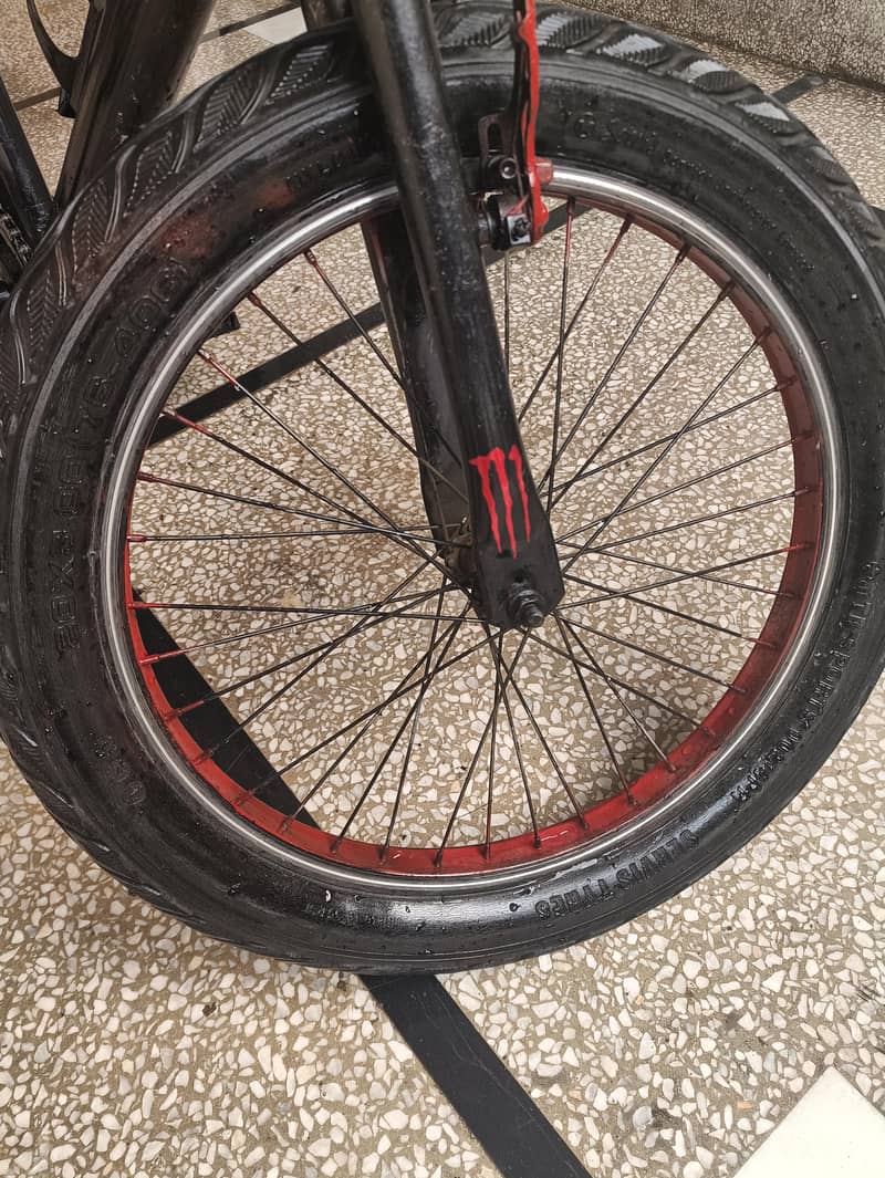 Customized BMX Cycle 2