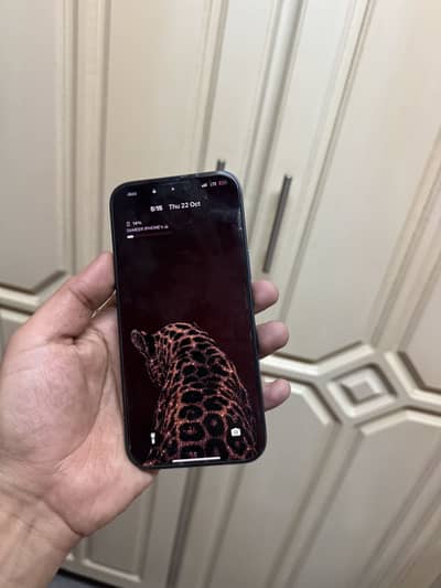17 pro max PTA