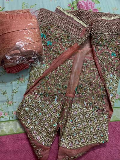 walima and bridal suits