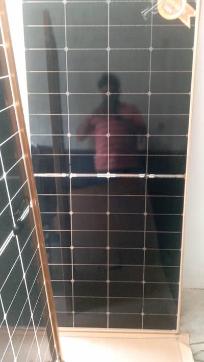 A branded solar 2pales jinko brand