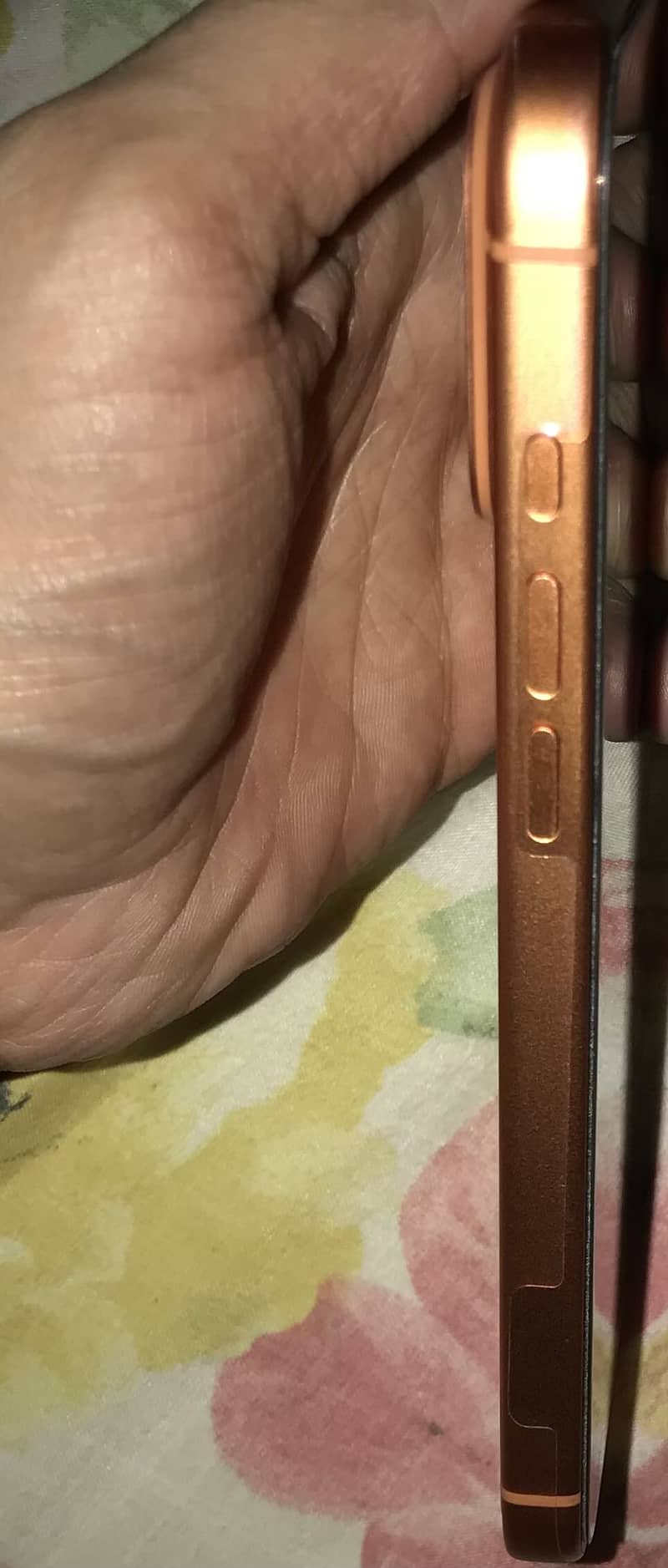 Apple iPhone 17 Pro Max 3