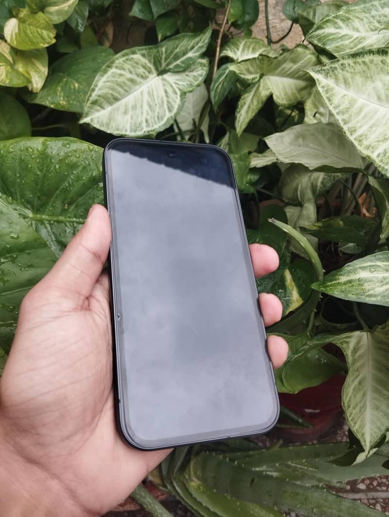 Google Pixel 9 with box 2