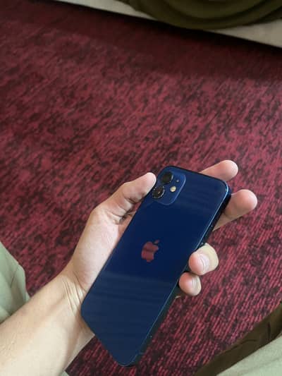 APPLE IPHONE 12