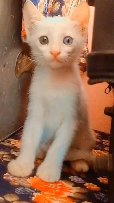 name nana