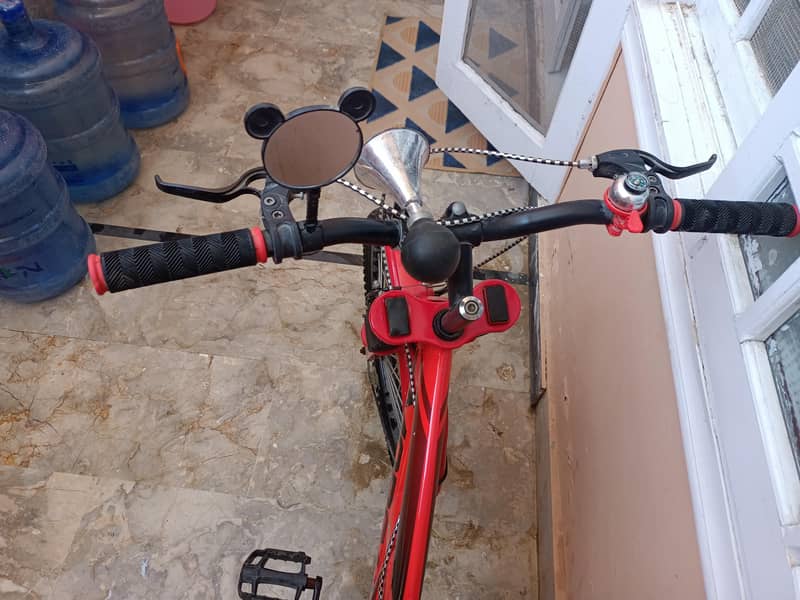 Morgun bicycle 2