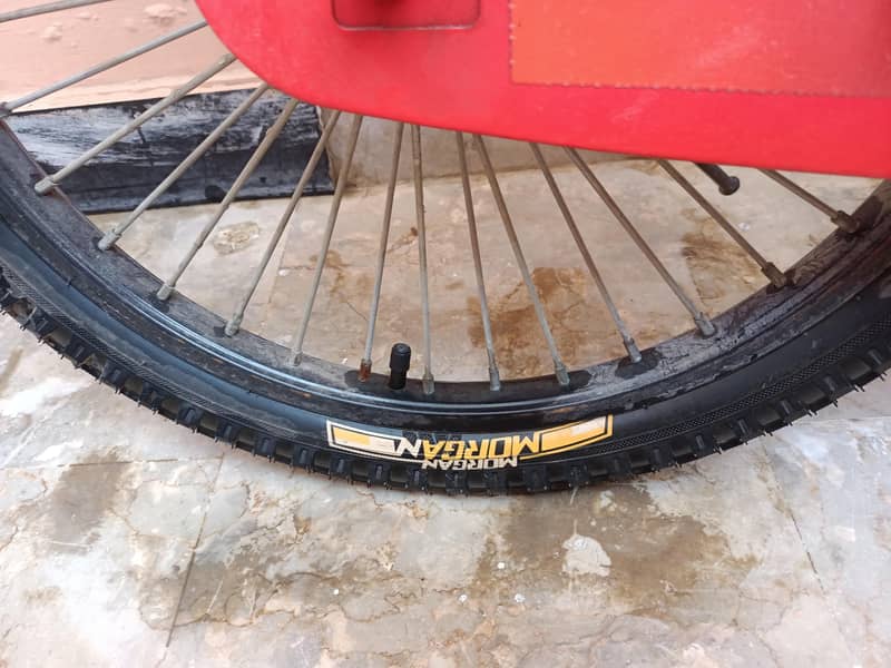 Morgun bicycle 7