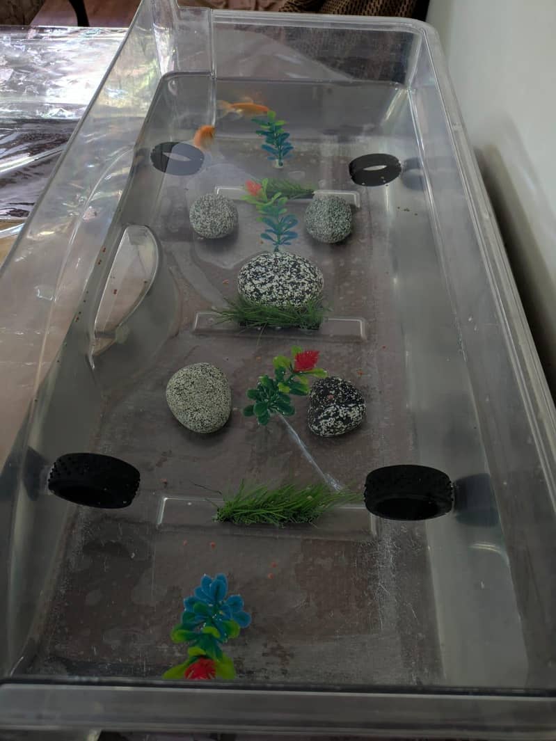 Pump+Filter+Goldfish+Decorations+Plastic Tank 1