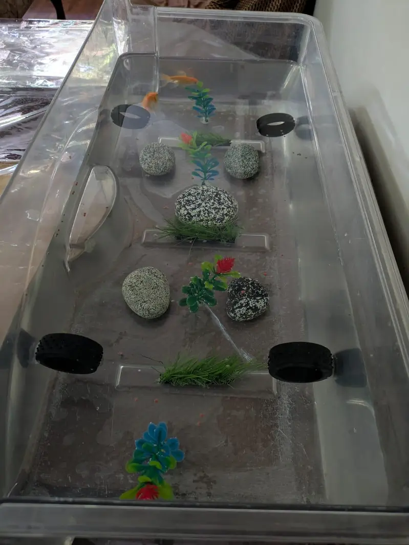 Pump+Filter+Goldfish+Decorations+Plastic Tank — photo 2