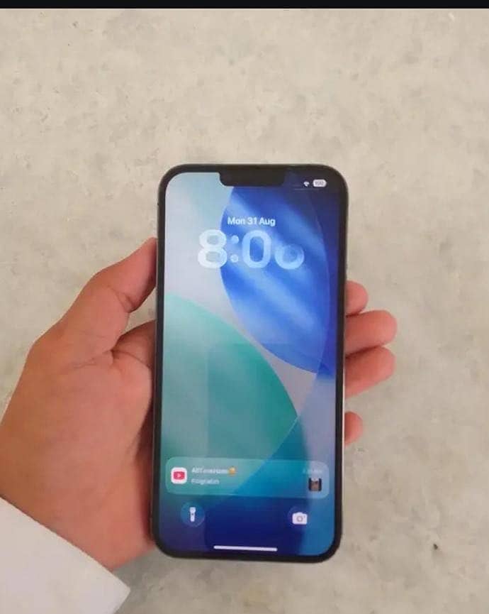 Apple iPhone 13 Pro Max 1