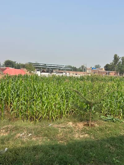 Diary farm land available for rent