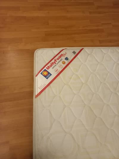 Original Master MoltyFoam Plus Mattress for Sale