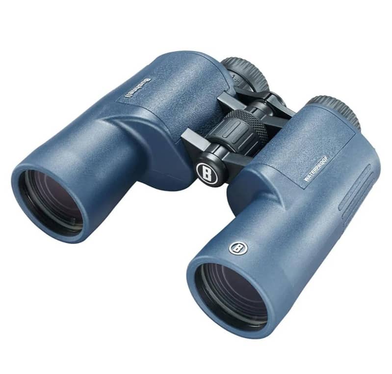 Telescope & Dorbeen 1