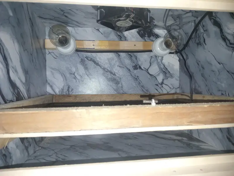 50 eggs incubator — photo 3