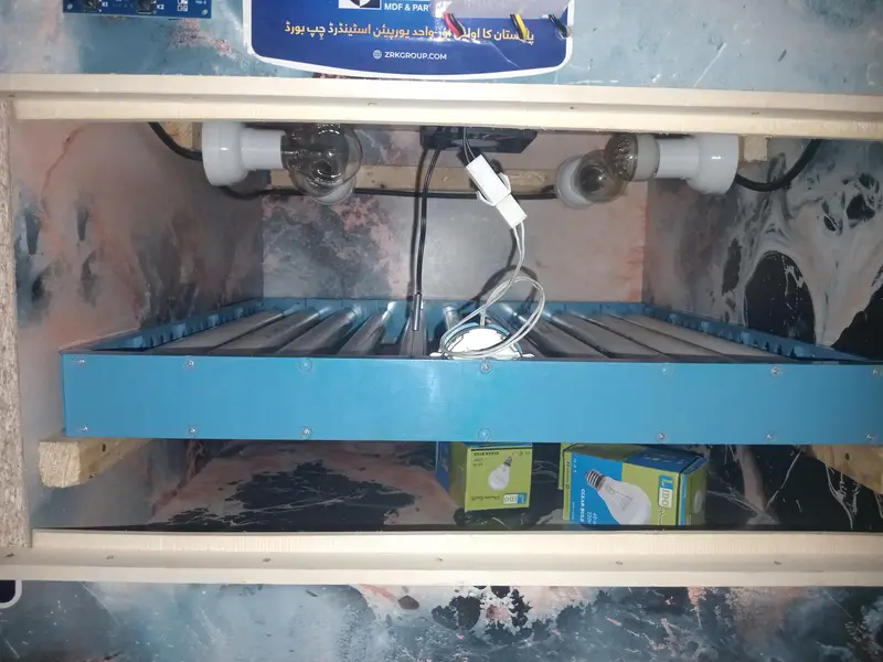 50 eggs incubator — photo 5